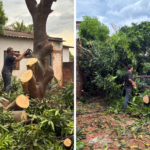 forca-tarefa-garante-limpeza-de-imovel-e-elimina-foco-de-riscos-no-centro-de-bataguassu