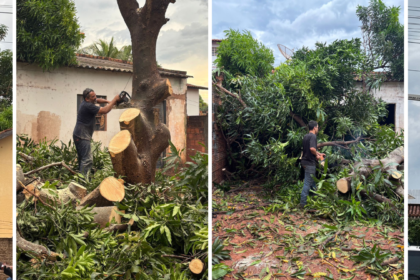 forca-tarefa-garante-limpeza-de-imovel-e-elimina-foco-de-riscos-no-centro-de-bataguassu