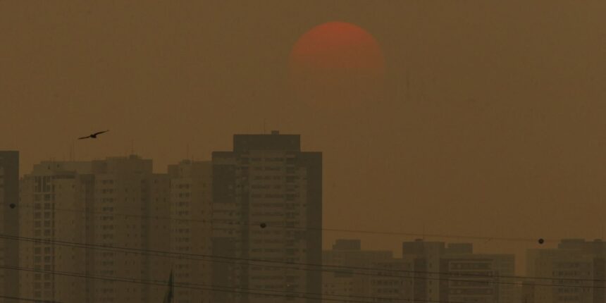sensor-do-ar-de-baixo-custo-sera-lancado-no-acampamento-terra-livre