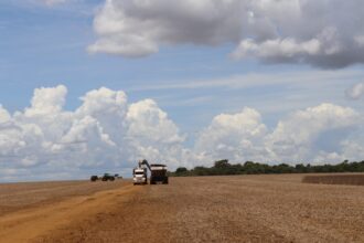 ms-mantem-superavit-na-balanca-comercial-e-registra-us$-2,51-bi-em-exportacoes-no-1o-trimestre