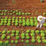 agraer-fortalece-acesso-ao-credito-rural-em-projetos-que-abrem-oportunidades-a-quem-trabalha-no-campo