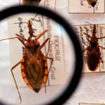saude-anuncia-r$-12-milhoes-para-enfrentamento-da-doenca-de-chagas