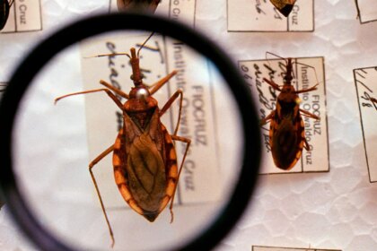 saude-anuncia-r$-12-milhoes-para-enfrentamento-da-doenca-de-chagas
