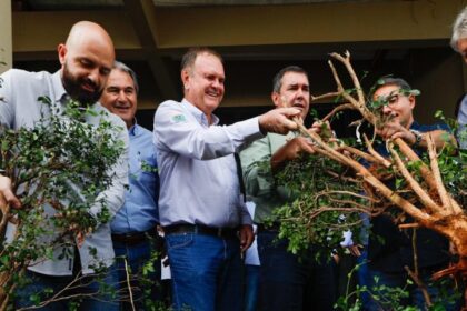para-fortalecer-cadeia-produtiva-da-laranja,-riedel-participa-de-remocao-simbolica-de-murtas-na-expogrande