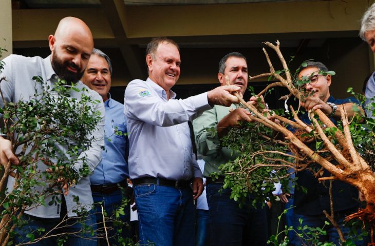 para-fortalecer-cadeia-produtiva-da-laranja,-riedel-participa-de-remocao-simbolica-de-murtas-na-expogrande