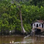 projeto-leva-tratamento-gratuito-a-doencas-negligenciadas-no-amazonas