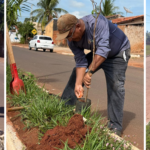 avenida-frei-galvao-recebe-novas-mudas-e-reforca-arborizacao-urbana