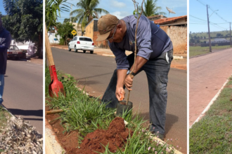 avenida-frei-galvao-recebe-novas-mudas-e-reforca-arborizacao-urbana