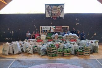 semadesc-promove-seminario-estadual-do-paa-para-fortalecer-seguranca-alimentar-e-agricultura-familiar-em-ms