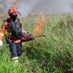 para-conservar-e-proteger-biomas,-governo-de-ms-realiza-tecnica-de-queima-prescrita-em-parque-estadual