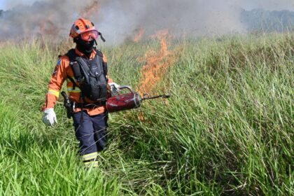 para-conservar-e-proteger-biomas,-governo-de-ms-realiza-tecnica-de-queima-prescrita-em-parque-estadual