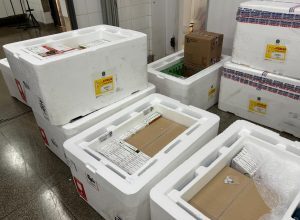 nem-toda-dose-pode-ser-usada:-entenda-as-perdas-de-vacinas-no-sus