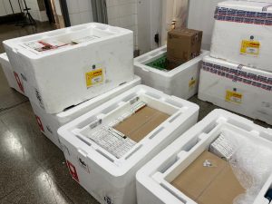 nem-toda-dose-pode-ser-usada:-entenda-as-perdas-de-vacinas-no-sus
