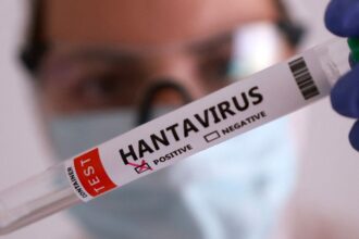 duas-pessoas-retiradas-de-navio-testam-positivo-para-o-hantavirus