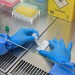 minas-gerais-confirma-primeira-morte-por-hantavirus-em-2026