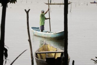 conferencias-estaduais-de-aquicultura-e-pesca-serao-em-junho-e-jullho