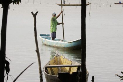 conferencias-estaduais-de-aquicultura-e-pesca-serao-em-junho-e-jullho