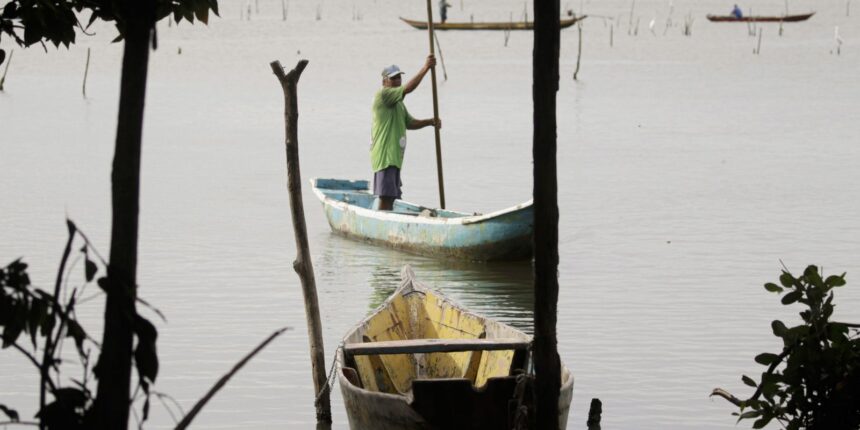 conferencias-estaduais-de-aquicultura-e-pesca-serao-em-junho-e-jullho