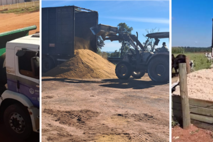 programa-de-fomento-a-agricultura-familiar-aquece-economia-local-com-transporte-gratuito-de-insumos-e-apoio-a-producao-rural