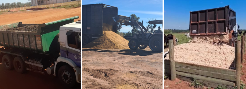 programa-de-fomento-a-agricultura-familiar-aquece-economia-local-com-transporte-gratuito-de-insumos-e-apoio-a-producao-rural