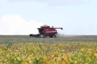 showtec:-ms-avanca-e-agro-cresce-como-vitrine-de-inovacao-e-futuro-das-cadeias-produtivas