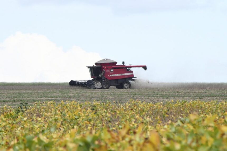 showtec:-ms-avanca-e-agro-cresce-como-vitrine-de-inovacao-e-futuro-das-cadeias-produtivas
