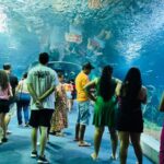 bioparque-pantanal-se-prepara-para-sediar-evento-nacional-de-zoologicos-e-aquarios