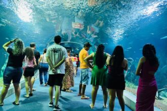 bioparque-pantanal-se-prepara-para-sediar-evento-nacional-de-zoologicos-e-aquarios