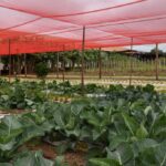 governo-de-ms-fortalece-dialogo-e-acompanha-potencial-produtivo-do-assentamento-itamarati,-em-ponta-pora