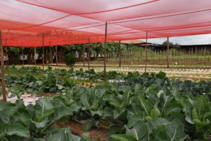 governo-de-ms-fortalece-dialogo-e-acompanha-potencial-produtivo-do-assentamento-itamarati,-em-ponta-pora