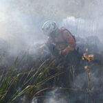 decreto-de-emergencia-ambiental-reforca-preparacao-do-governo-de-ms-para-enfrentamento-a-incendios-florestais