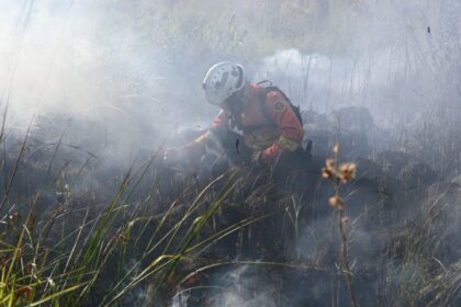 decreto-de-emergencia-ambiental-reforca-preparacao-do-governo-de-ms-para-enfrentamento-a-incendios-florestais