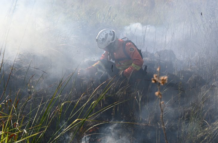 decreto-de-emergencia-ambiental-reforca-preparacao-do-governo-de-ms-para-enfrentamento-a-incendios-florestais