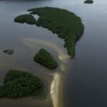 carbono-azul-ganha-espaco-na-agenda-climatica-dos-oceanos