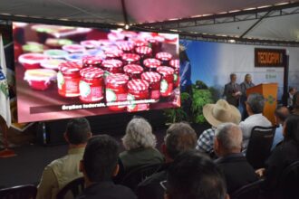 governo-de-ms-destaca-forca-da-agricultura-familiar-no-desenvolvimento-regional-e-na-seguranca-alimentar