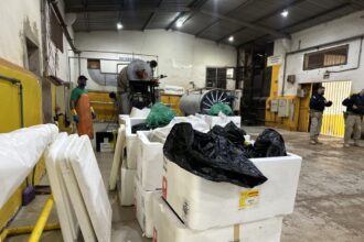 operacao-inedita-destroi-1-tonelada-de-medicamentos-irregulares-e-reforca-combate-ao-mercado-clandestino