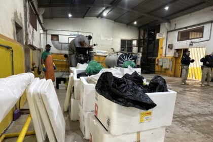 operacao-inedita-destroi-1-tonelada-de-medicamentos-irregulares-e-reforca-combate-ao-mercado-clandestino