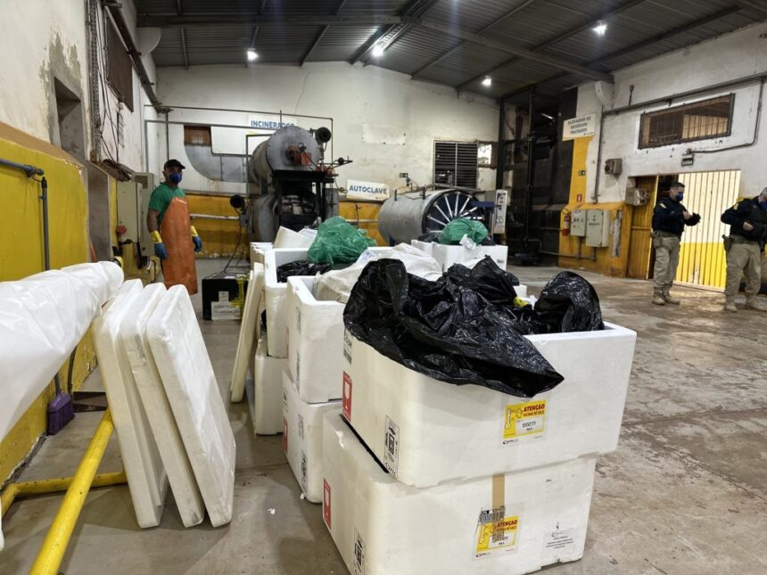 operacao-inedita-destroi-1-tonelada-de-medicamentos-irregulares-e-reforca-combate-ao-mercado-clandestino