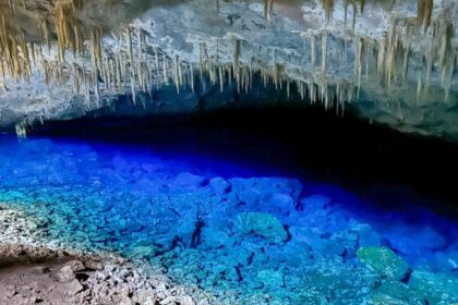 referencia-em-turismo-de-natureza,-ms-fecha-primeiro-semestre-de-2026-consolidando-protagonismo