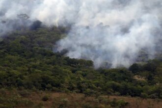 copernicus:-emissao-global-de-gases-por-incendios-e-a-menor-em-24-anos