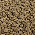 risco-de-desertificacao-no-brasil-ameaca-seguranca-hidrica-e-alimentar