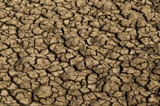 risco-de-desertificacao-no-brasil-ameaca-seguranca-hidrica-e-alimentar