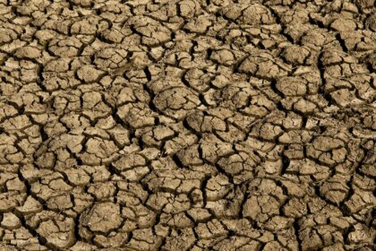 risco-de-desertificacao-no-brasil-ameaca-seguranca-hidrica-e-alimentar