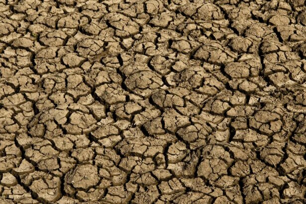 risco-de-desertificacao-no-brasil-ameaca-seguranca-hidrica-e-alimentar