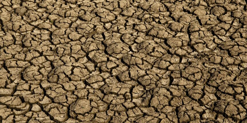 risco-de-desertificacao-no-brasil-ameaca-seguranca-hidrica-e-alimentar